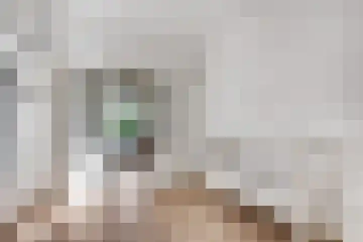 Krumselaarseweg 16 Barneveld thumbnail 14