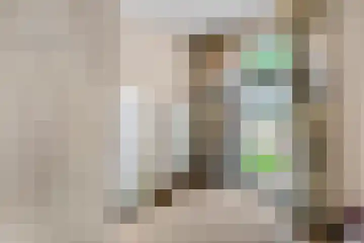 Krumselaarseweg 16 Barneveld thumbnail 15