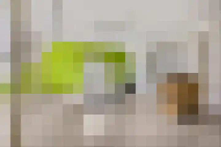 Krumselaarseweg 16 Barneveld thumbnail 20