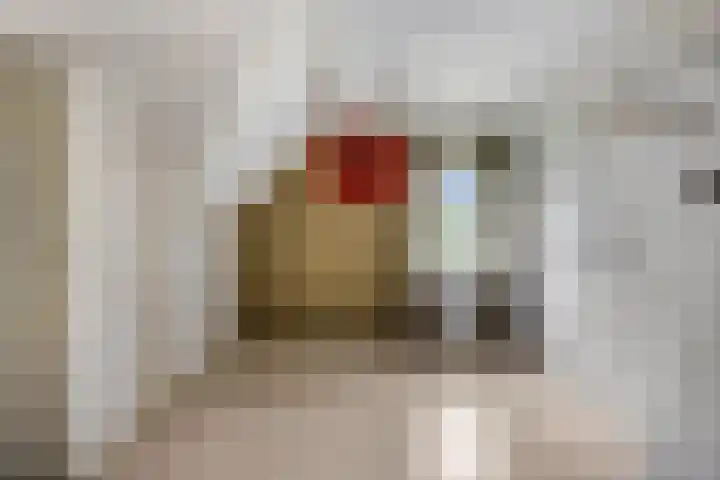 Krumselaarseweg 16 Barneveld thumbnail 21