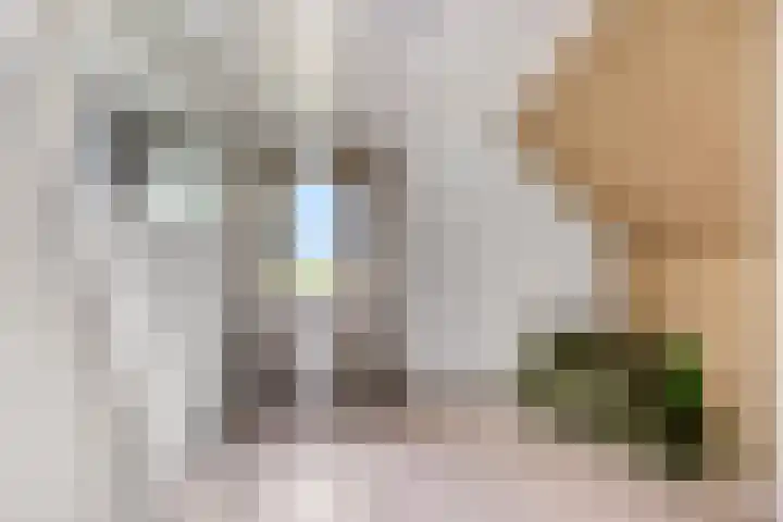 Krumselaarseweg 16 Barneveld thumbnail 22