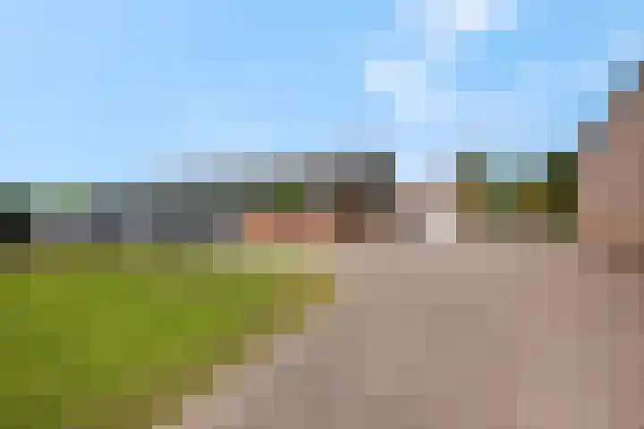 Krumselaarseweg 16 Barneveld thumbnail 28
