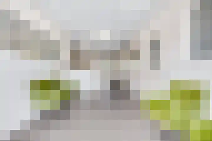 Krumselaarseweg 16 Barneveld thumbnail 29