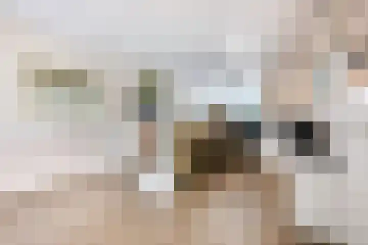 Krumselaarseweg 16 Barneveld thumbnail 30