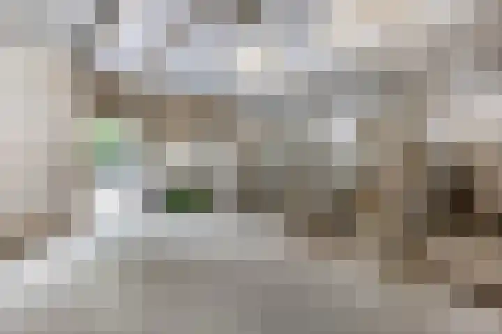 Krumselaarseweg 16 Barneveld thumbnail 38