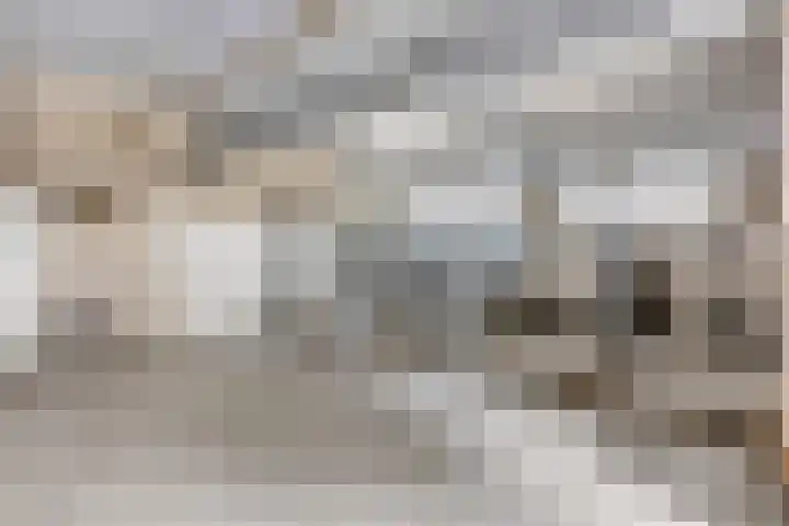 Krumselaarseweg 16 Barneveld thumbnail 39
