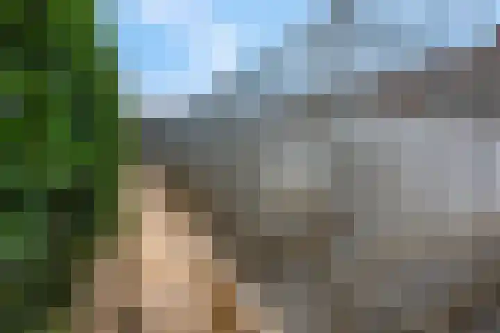 Krumselaarseweg 16 Barneveld thumbnail 43