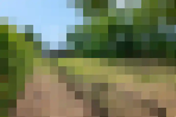 Krumselaarseweg 16 Barneveld thumbnail 44