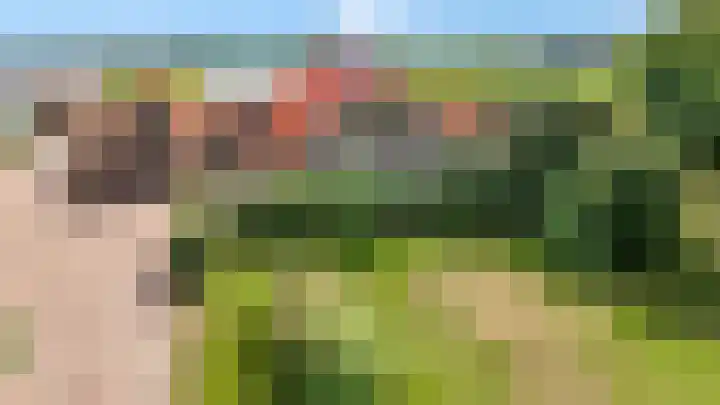 Krumselaarseweg 16 Barneveld thumbnail 8