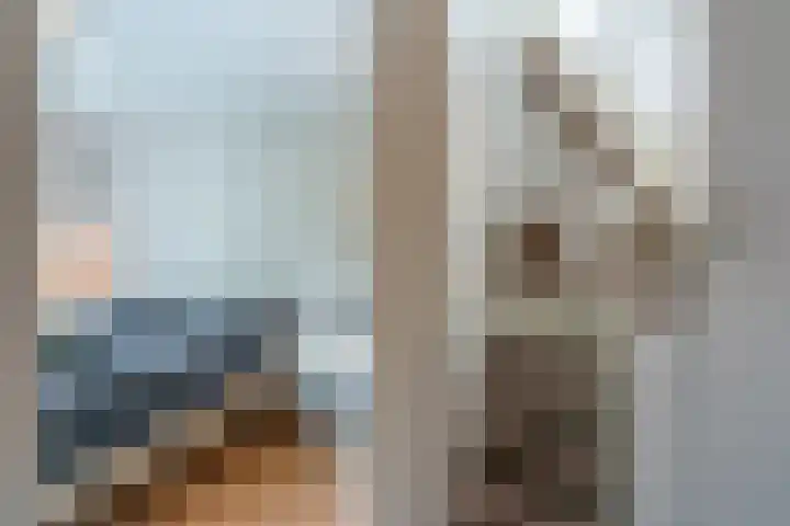 Kruseman van Eltenweg 12 Alkmaar thumbnail 23