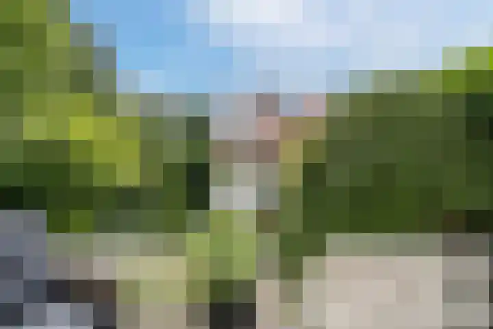 Kruseman van Eltenweg 12 Alkmaar thumbnail 30
