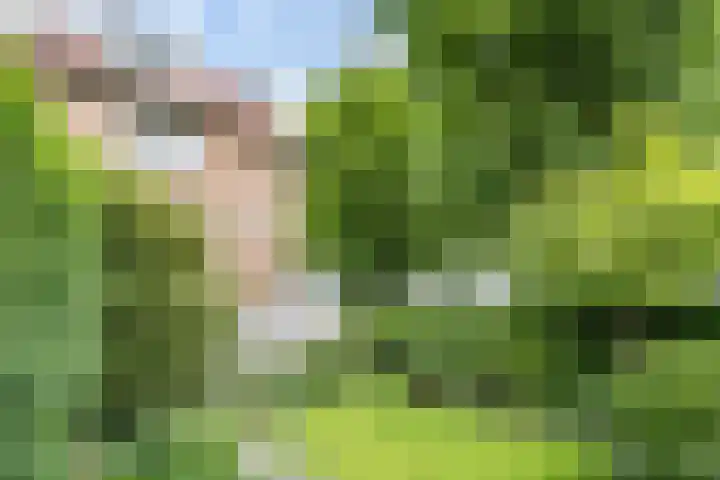 Kruseman van Eltenweg 12 Alkmaar thumbnail 33