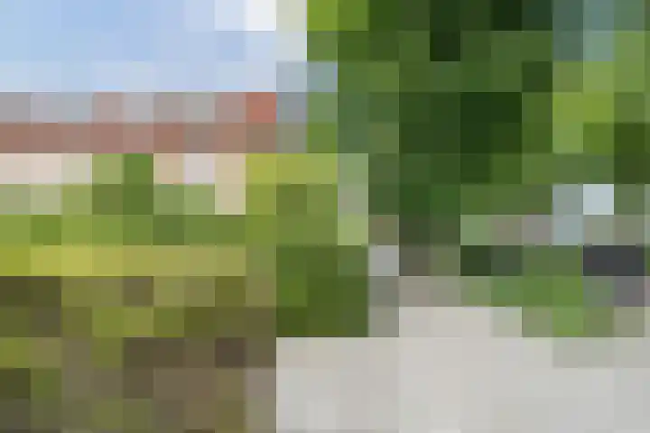 Kruseman van Eltenweg 12 Alkmaar thumbnail 34