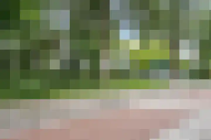 Kruseman van Eltenweg 12 Alkmaar thumbnail 36