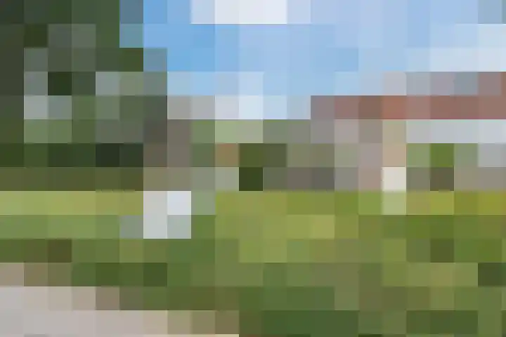 Kruseman van Eltenweg 12 Alkmaar thumbnail 38