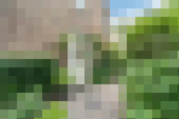 Kruseman van Eltenweg 12 Alkmaar thumbnail 4