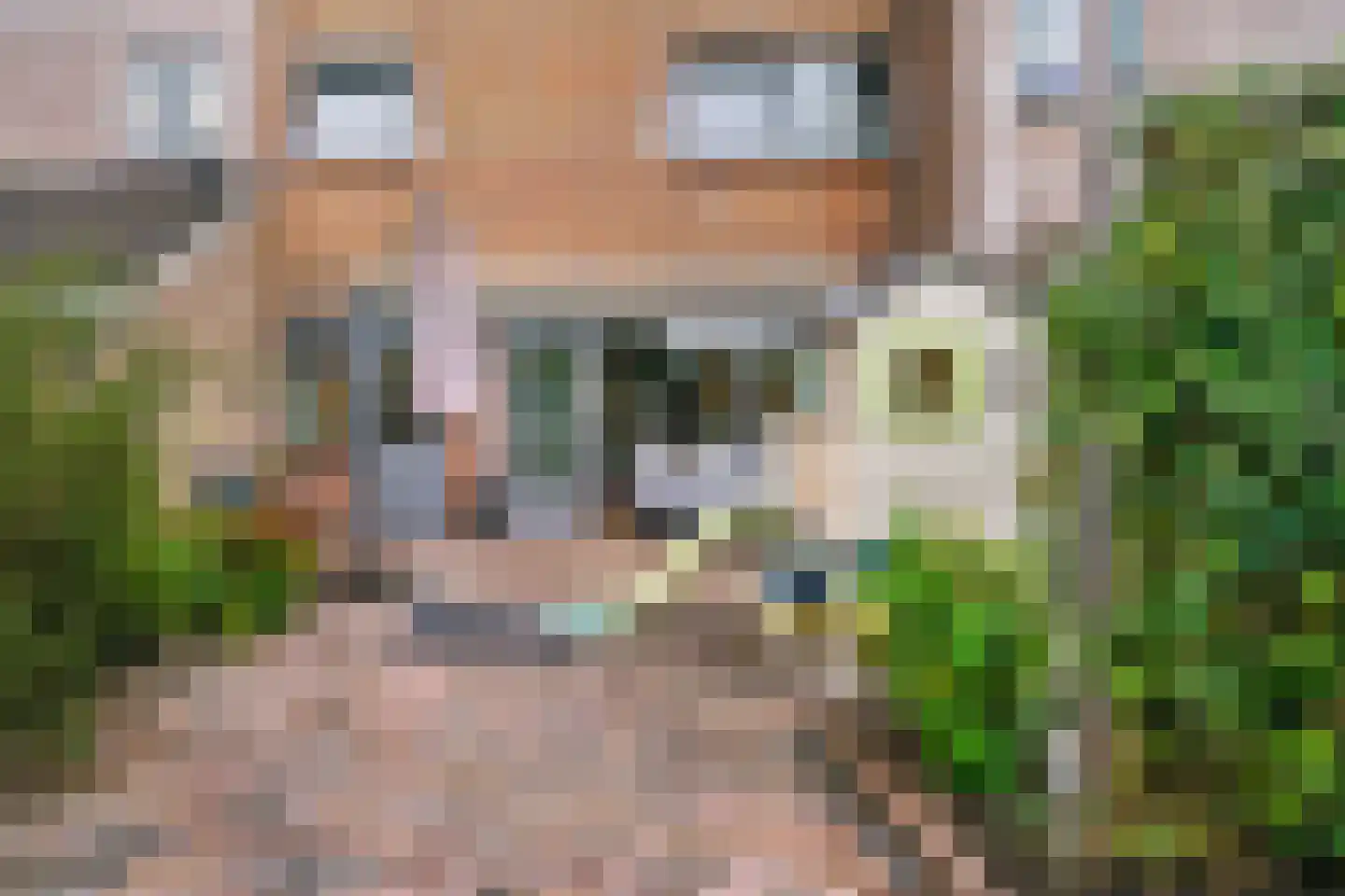 Krusemanlaan 58 Heerhugowaard thumbnail 29