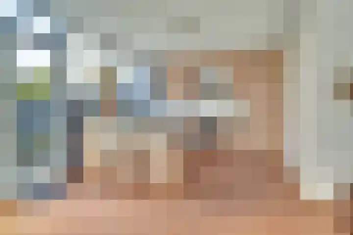 Krusemanstraat 4 Dieren thumbnail 10