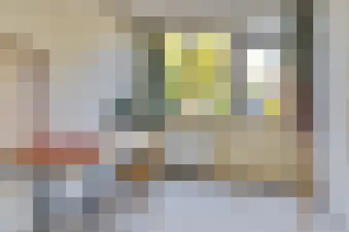 Krusemanstraat 4 Dieren thumbnail 13