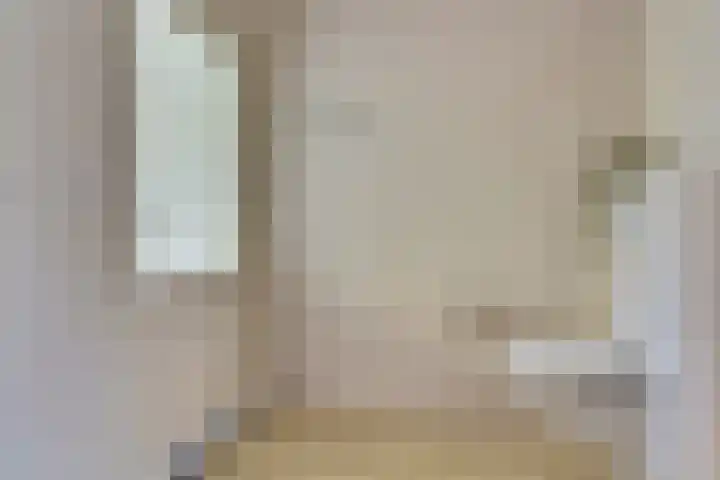 Krusemanstraat 4 Dieren thumbnail 15