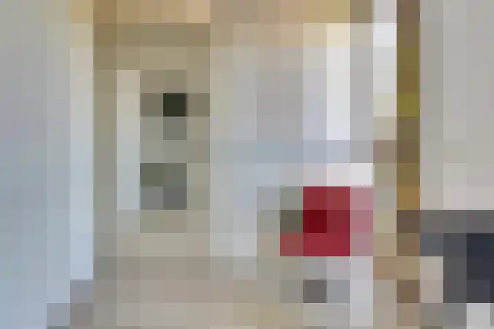 Krusemanstraat 4 Dieren thumbnail 21