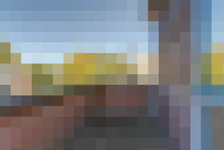 Krusemanstraat 4 Dieren thumbnail 27