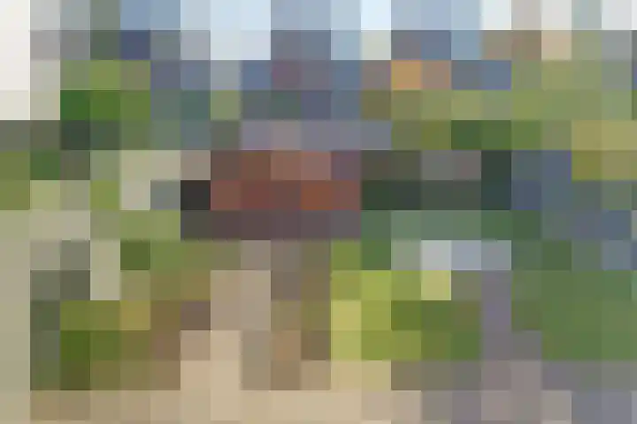 Krusemanstraat 4 Dieren thumbnail 29