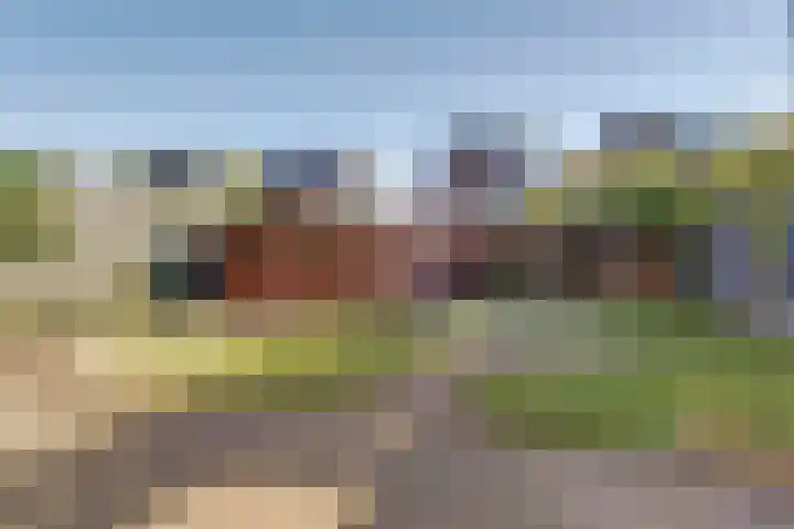 Krusemanstraat 4 Dieren thumbnail 30