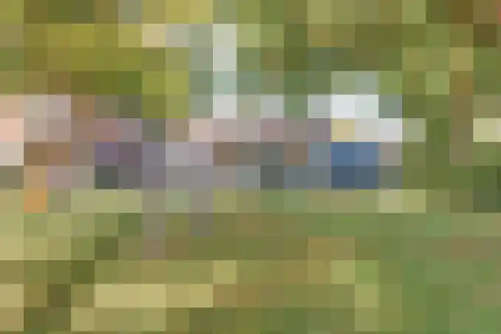 Krusemanstraat 4 Dieren thumbnail 34