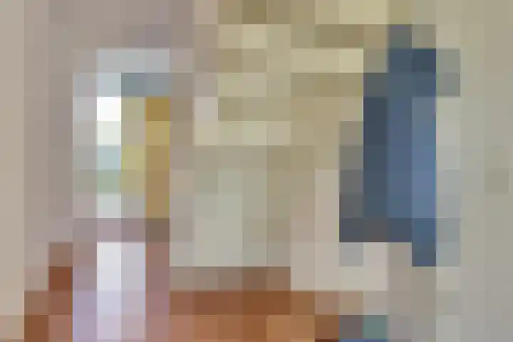 Krusemanstraat 4 Dieren thumbnail 4