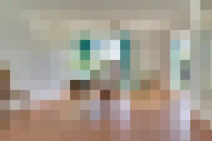 Krusemanstraat 4 Dieren thumbnail 8