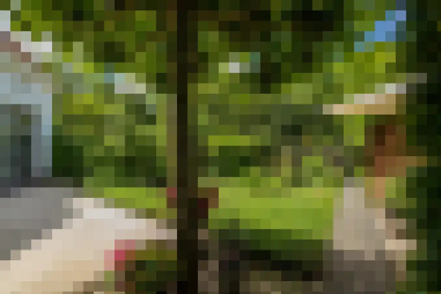 Krusemanstraat 5 Warmond thumbnail 32