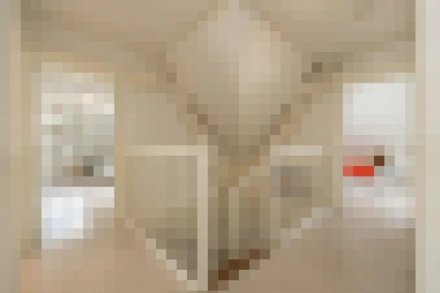 Krusemanstraat 5 Warmond thumbnail 40