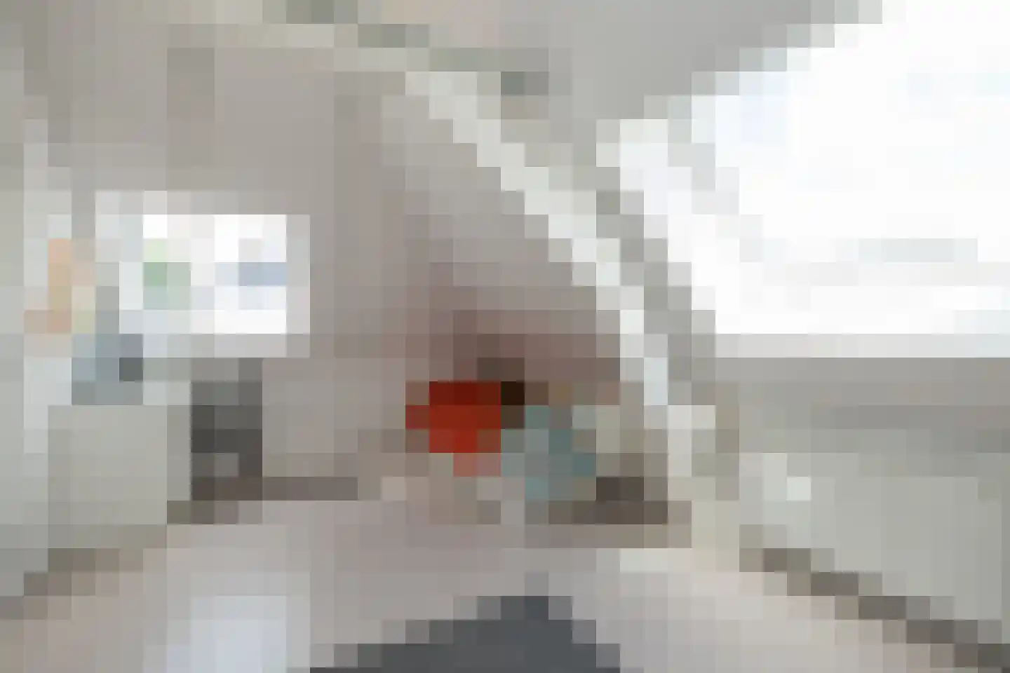 Krusemanstraat 5 Warmond thumbnail 60