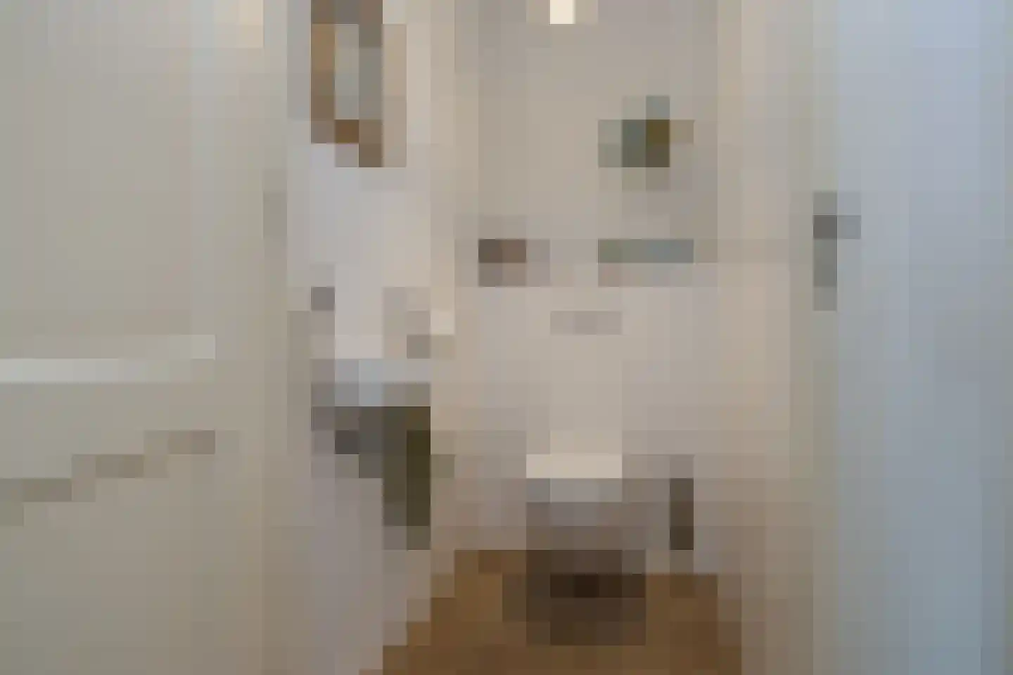 Krusemanstraat 5 Warmond thumbnail 8