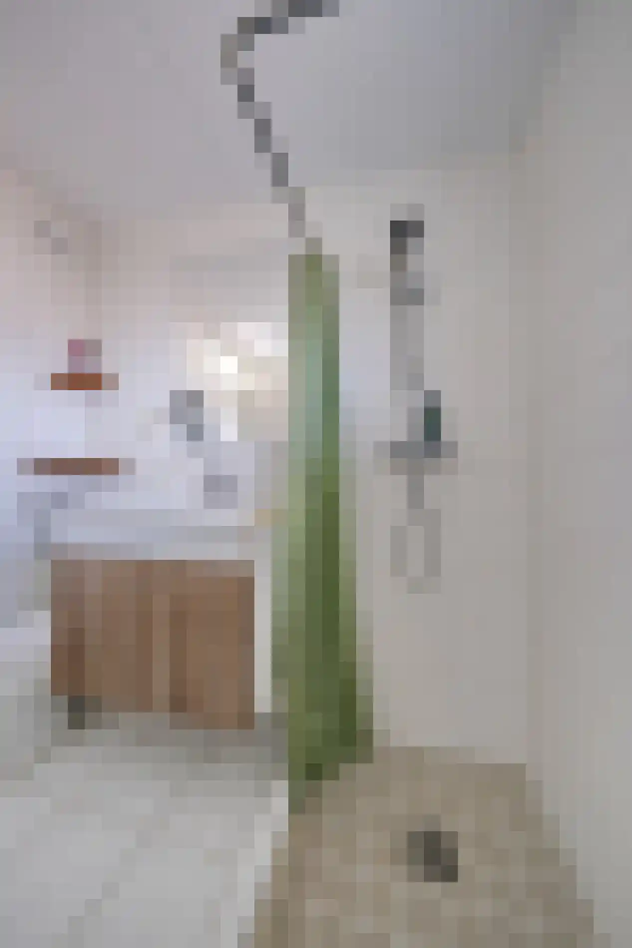 Krusemanstraat 6 Ede thumbnail 16