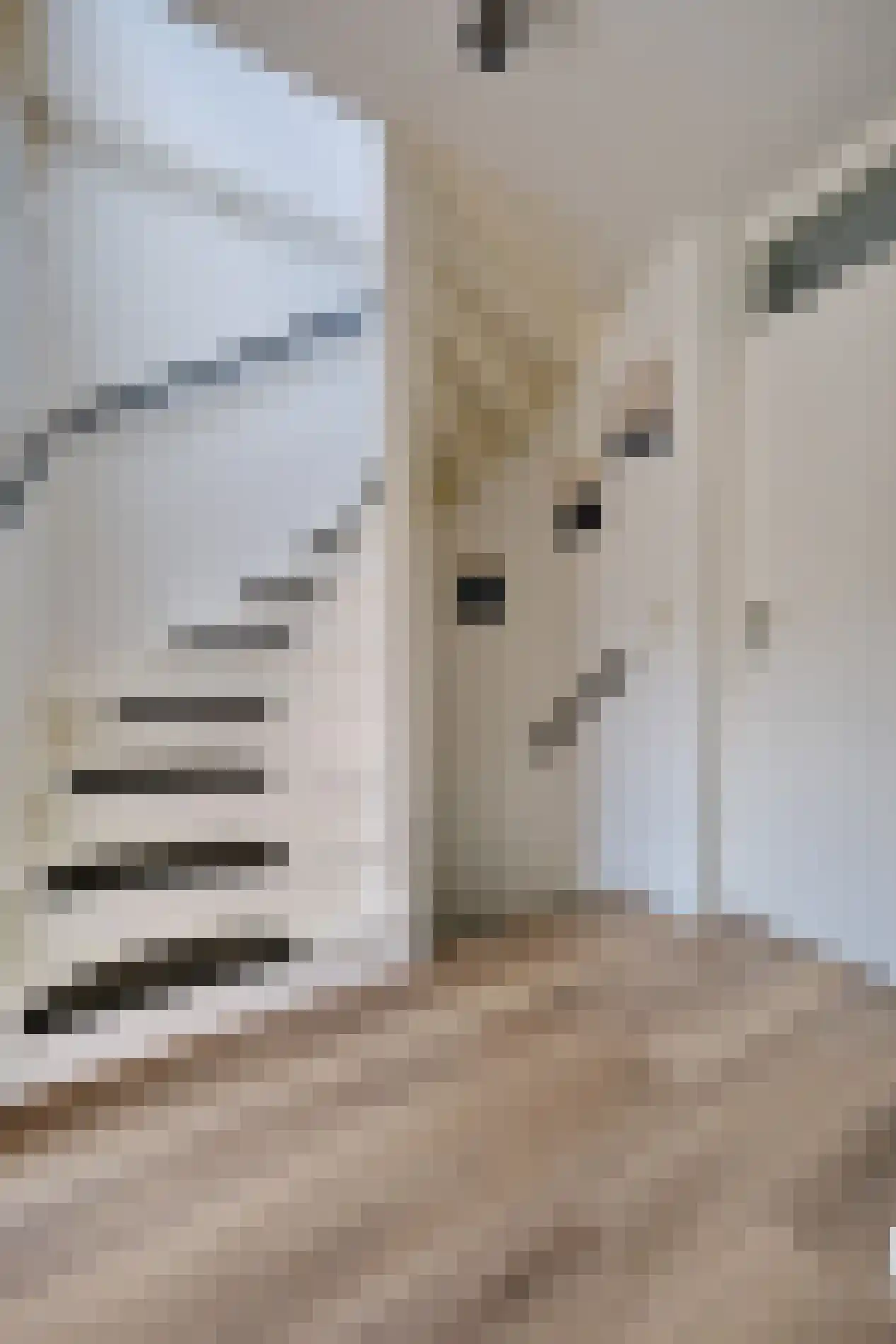 Krusemanstraat 6 Ede thumbnail 19