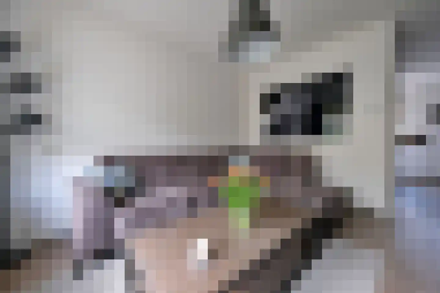 Krusemanstraat 6 Ede thumbnail 5