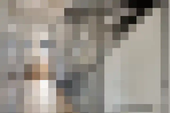 Krusemanstraat 8 Warmond thumbnail 12