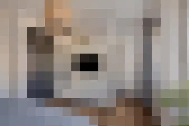 Krusemanstraat 8 Warmond thumbnail 14