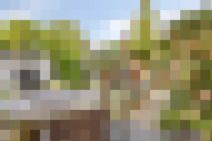 Krusemanstraat 8 Warmond thumbnail 22