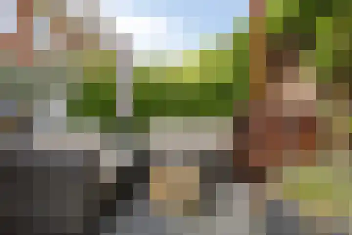 Krusemanstraat 8 Warmond thumbnail 23