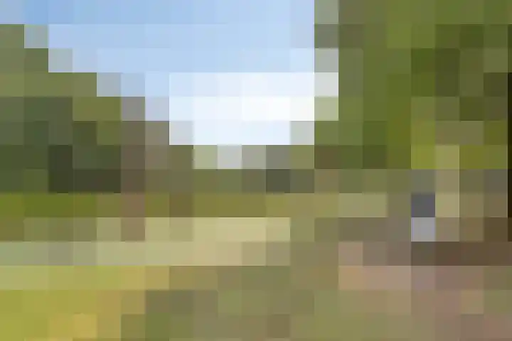 Krusemanstraat 8 Warmond thumbnail 27