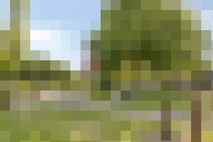 Krusemanstraat 8 Warmond thumbnail 28