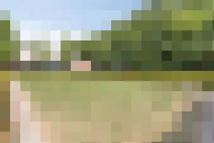 Krusemanstraat 8 Warmond thumbnail 29