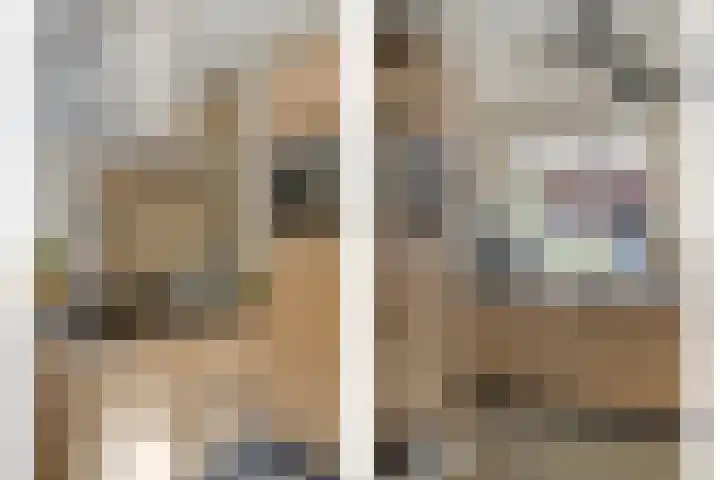 Krusemanstraat 8 Warmond thumbnail 9