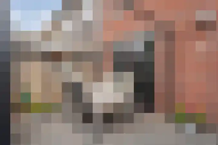 Kruserbrink 78 Hardenberg thumbnail 33