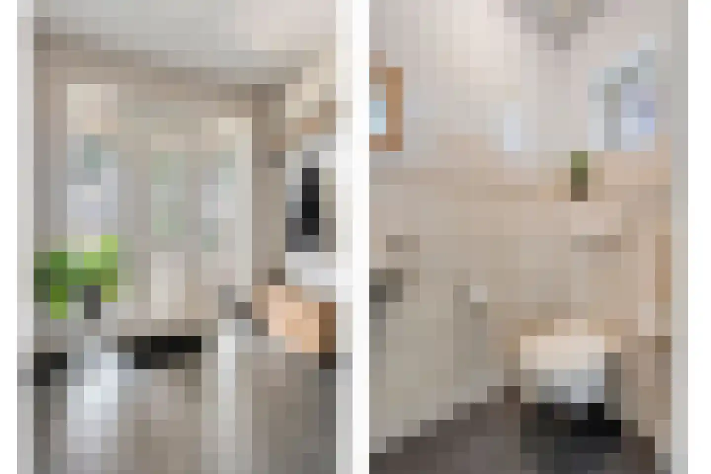 Krusestraat 1 Mariënheem thumbnail 11