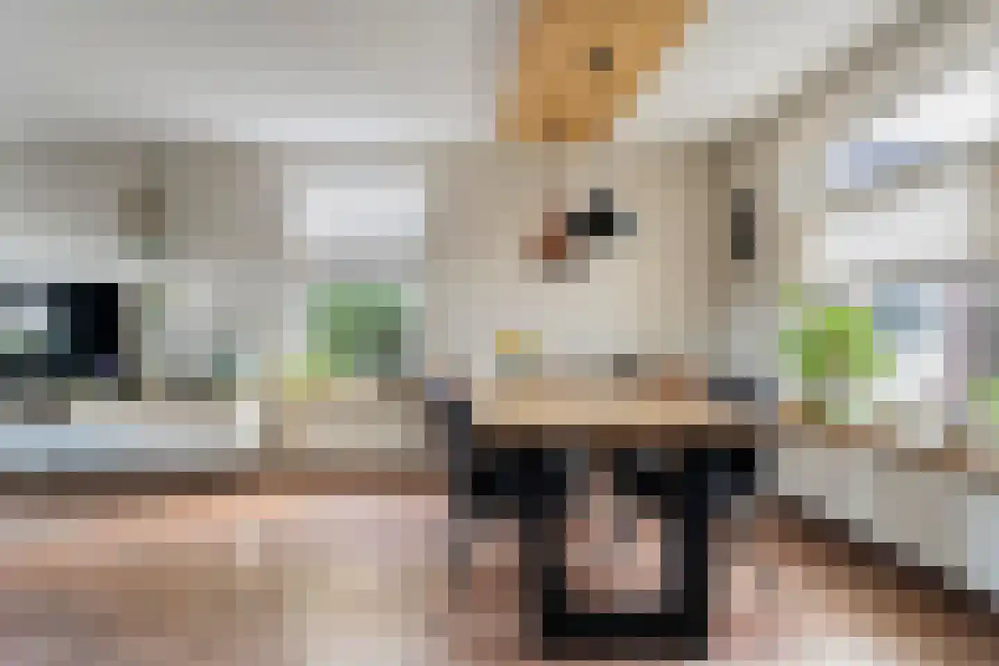 Krusestraat 1 Mariënheem thumbnail 19