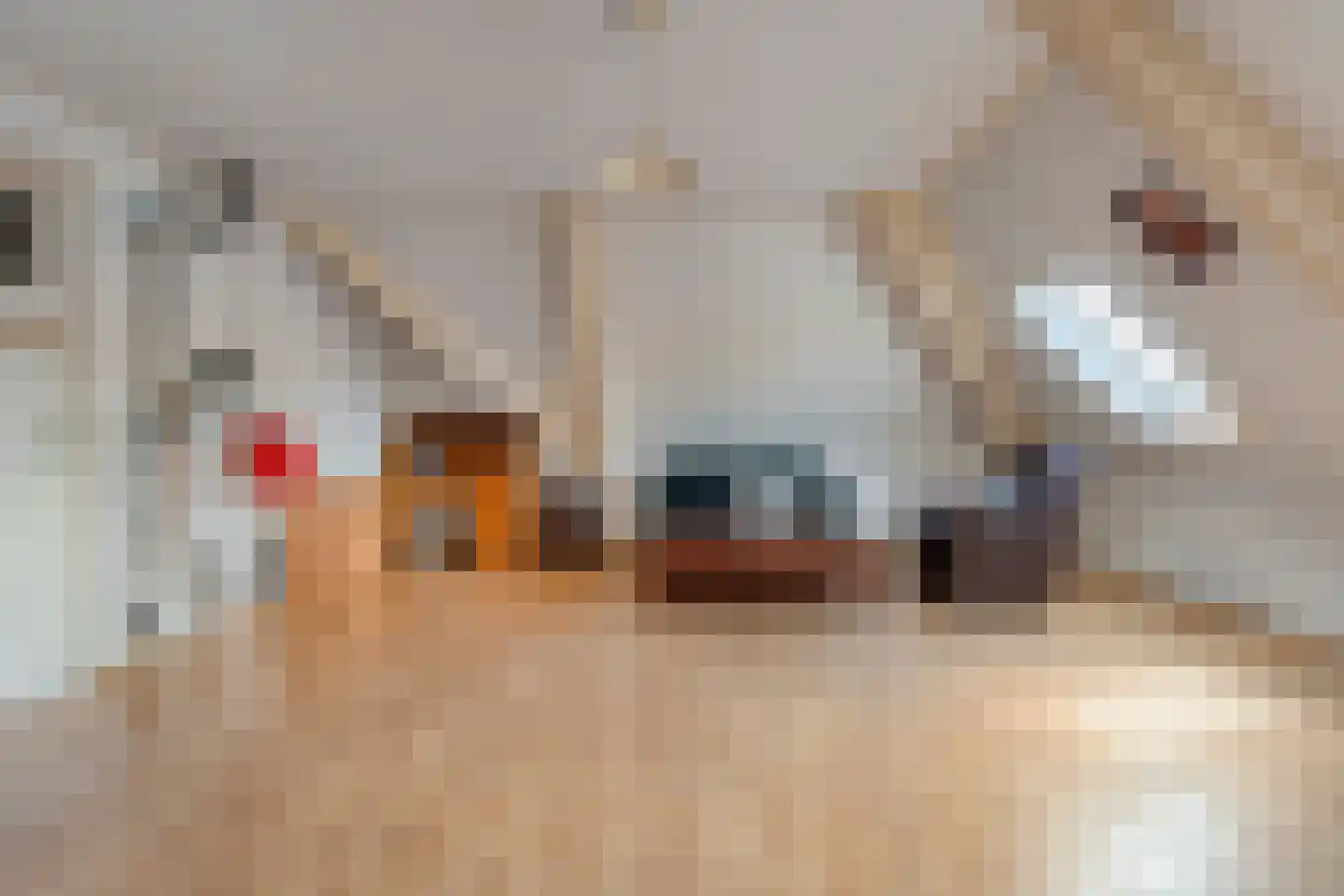 Krusestraat 1 Mariënheem thumbnail 35